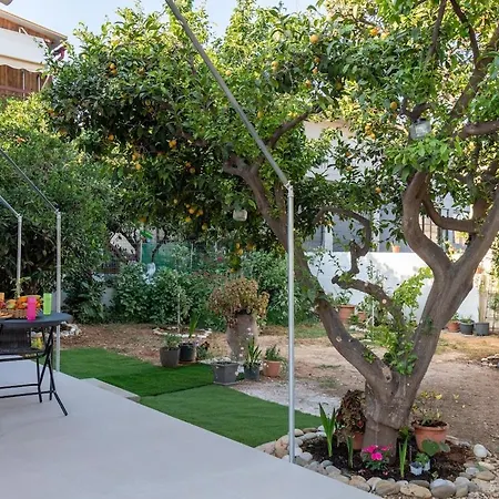 Lemon Tree Chania خانيا