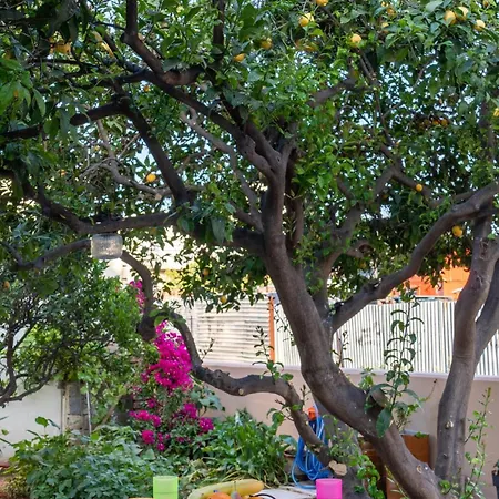 شقة Lemon Tree Chania *