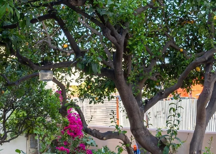 Apartamento Lemon Tree Chania *